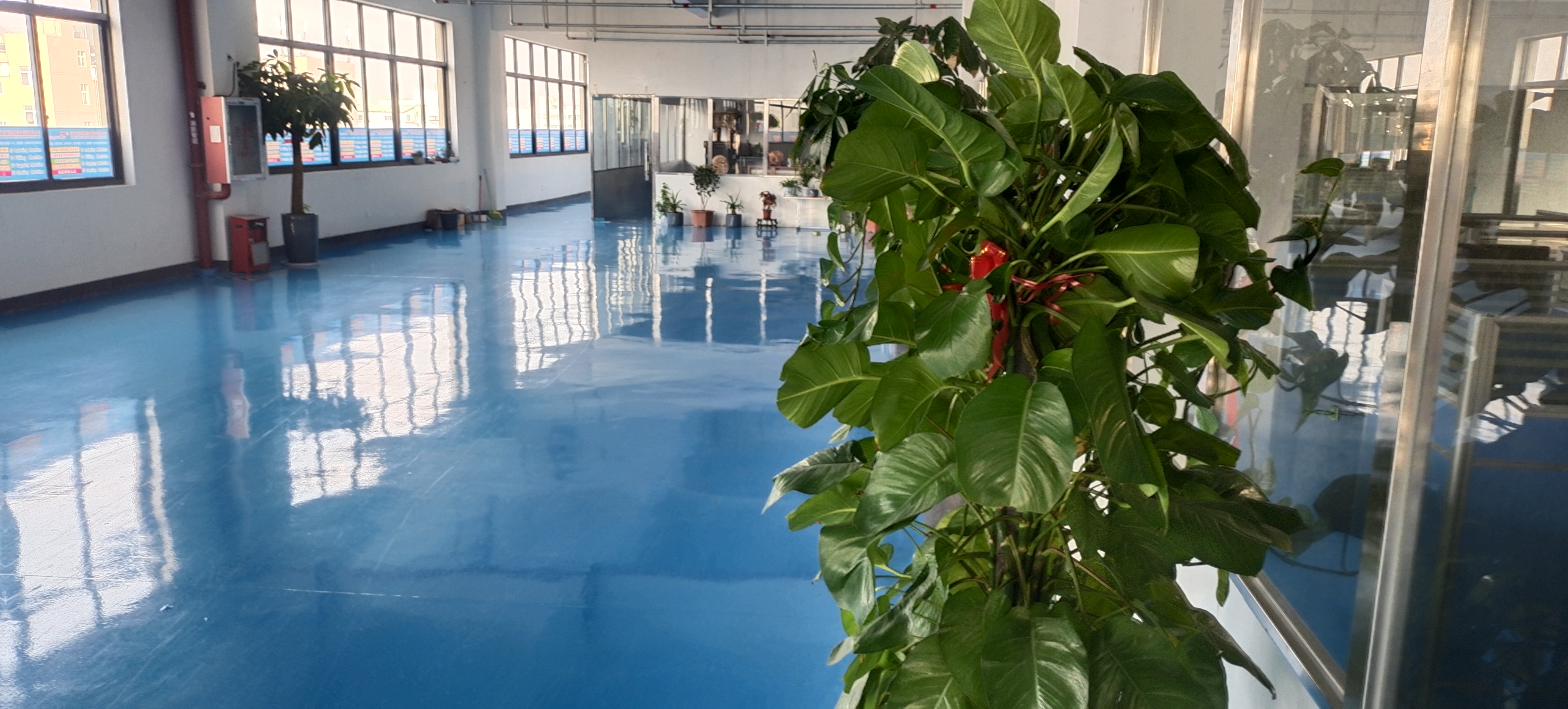 中国包装机械已成为机械工业中十大行业之一